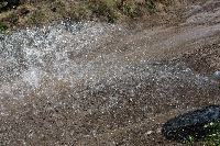 img_7427_(fileminimizer).jpg